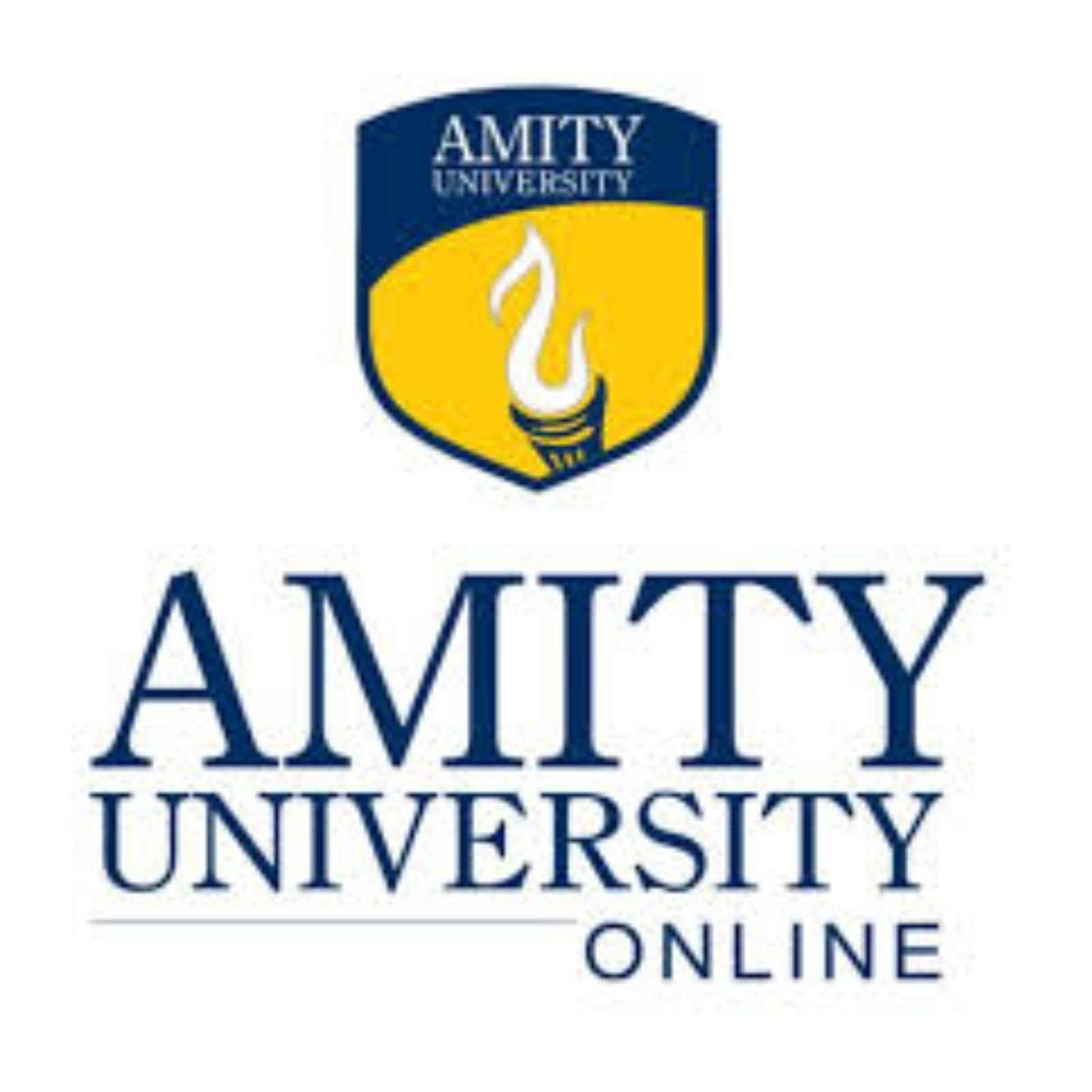AMITY UNIVERSITY ONLINE